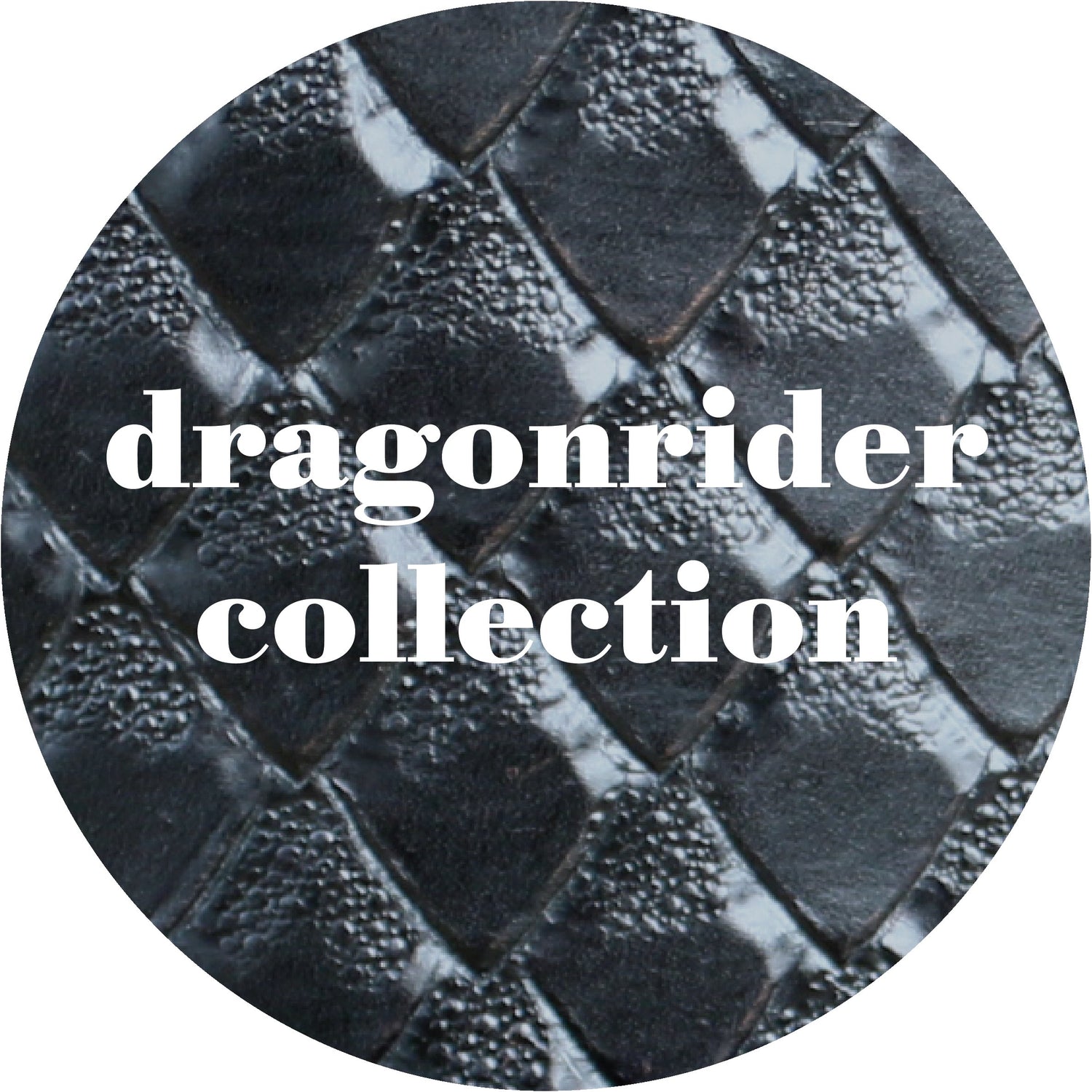 Dragonrider Collection